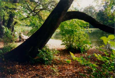 Eine Zahnbürste ist eine Zahnbürste ist ...